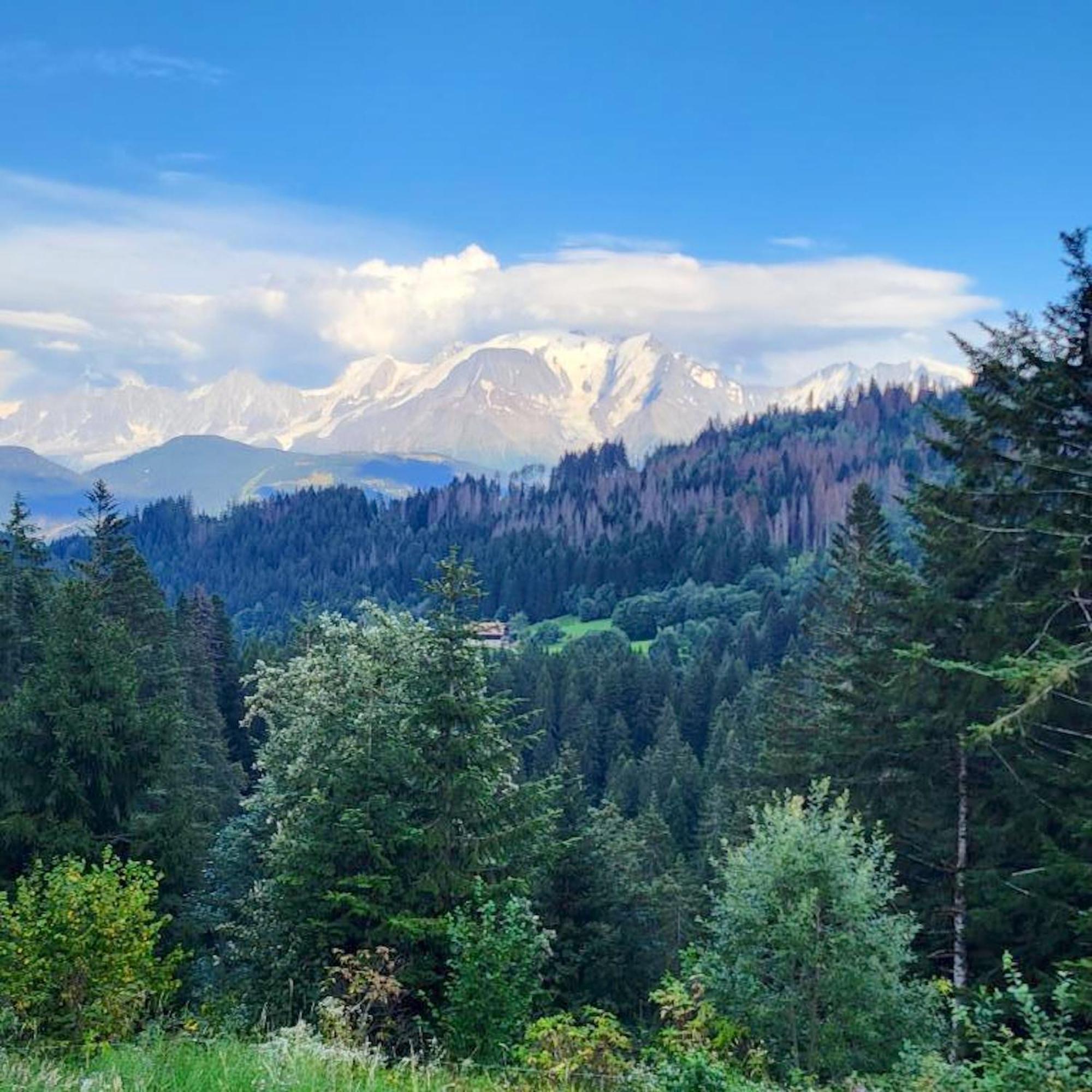 Studio Accueillant A Cordon Vue Mont Blanc 22 M² Parking Inclus Eksteriør billede